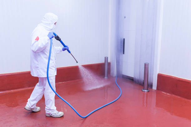  James Island, SC Pressure Washing Pros